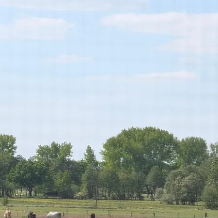 Zum Reiterhof, 3-bettzimmer Maison d'hôtes Schmogrow