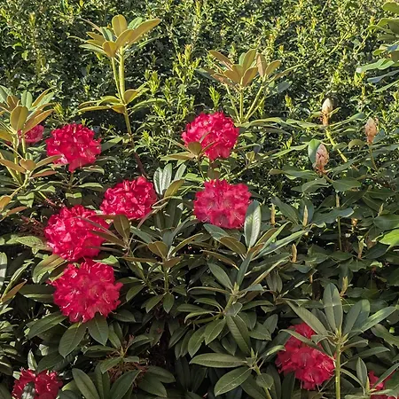 Maison d'hôtes Zum Reiterhof, 3-bettzimmer