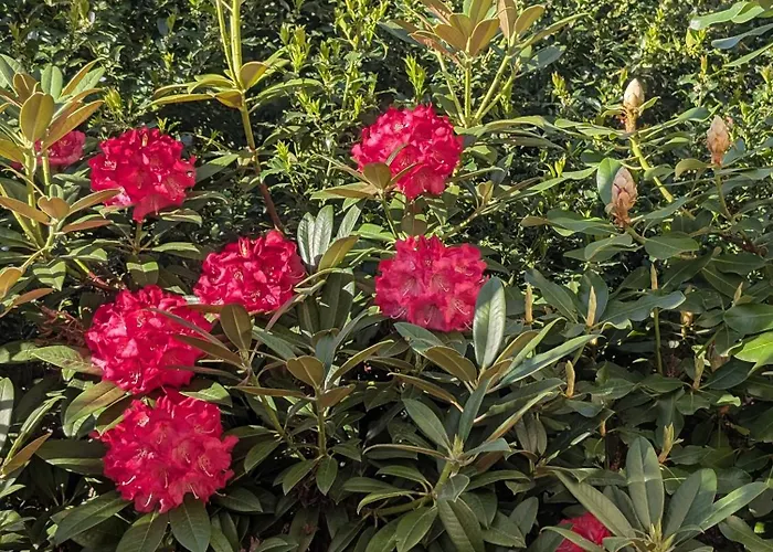 Pensionat Zum Reiterhof, 3-bettzimmer